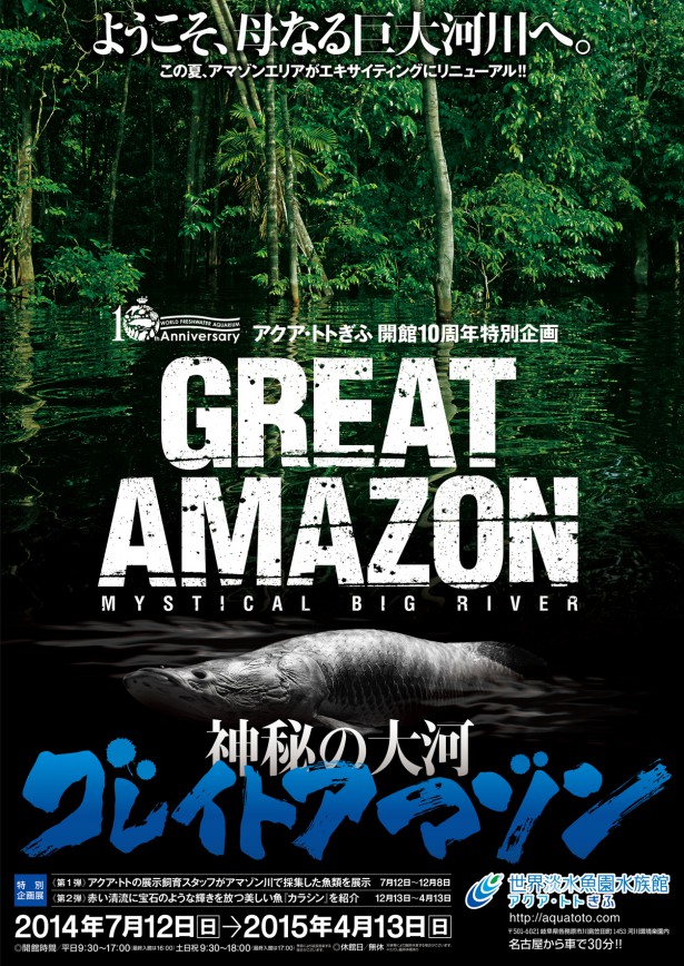 AMAZON_A14